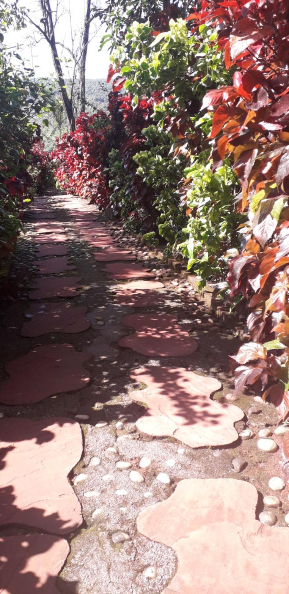 Strawberry Country Villa Mahābaleshwar Cameră foto